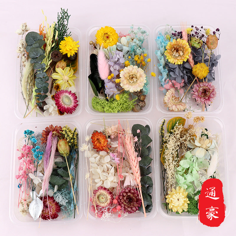 Dried Perpetual Flowers Material Kit Handmade Dried Flowers diy