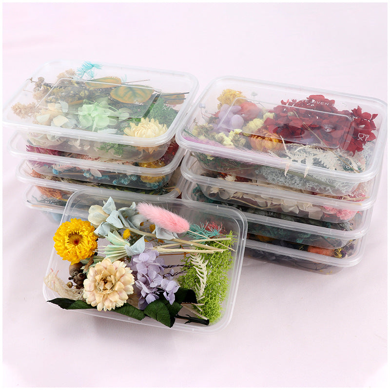 Dried Perpetual Flowers Material Kit Handmade Dried Flowers diy