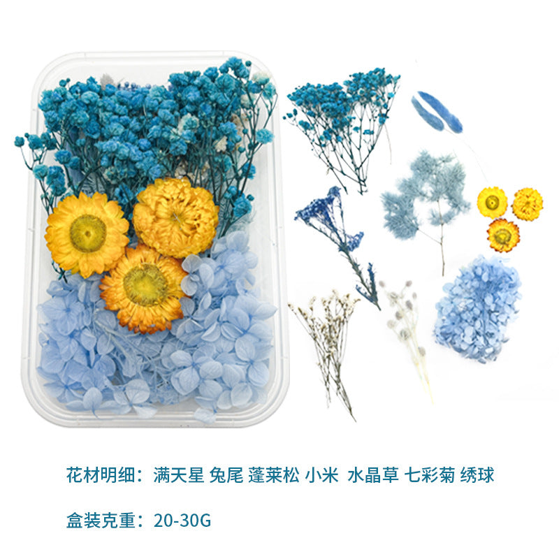 Dried Perpetual Flowers Material Kit Handmade Dried Flowers diy