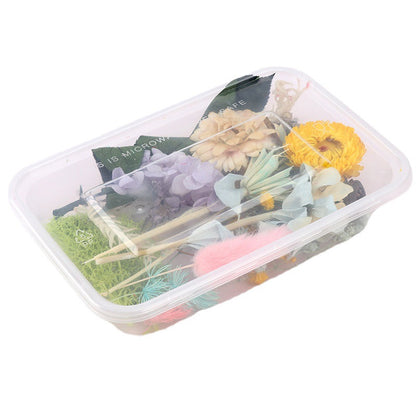 Dried Perpetual Flowers Material Kit Handmade Dried Flowers diy