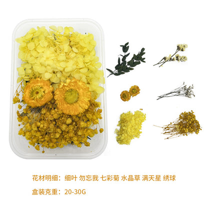 Dried Perpetual Flowers Material Kit Handmade Dried Flowers diy