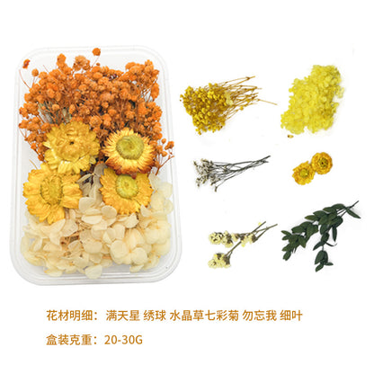 Dried Perpetual Flowers Material Kit Handmade Dried Flowers diy