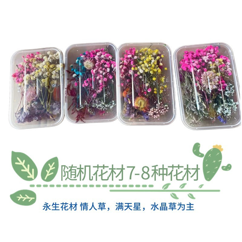 Dried Perpetual Flowers Material Kit Handmade Dried Flowers diy