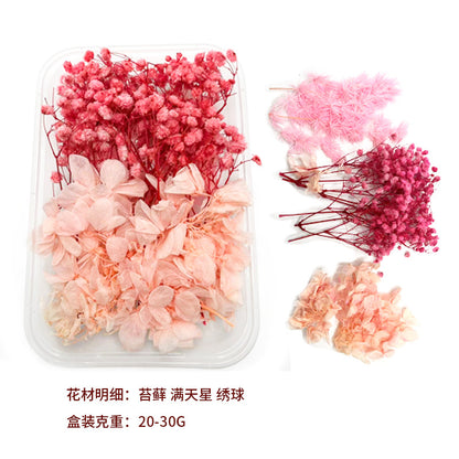 Dried Perpetual Flowers Material Kit Handmade Dried Flowers diy