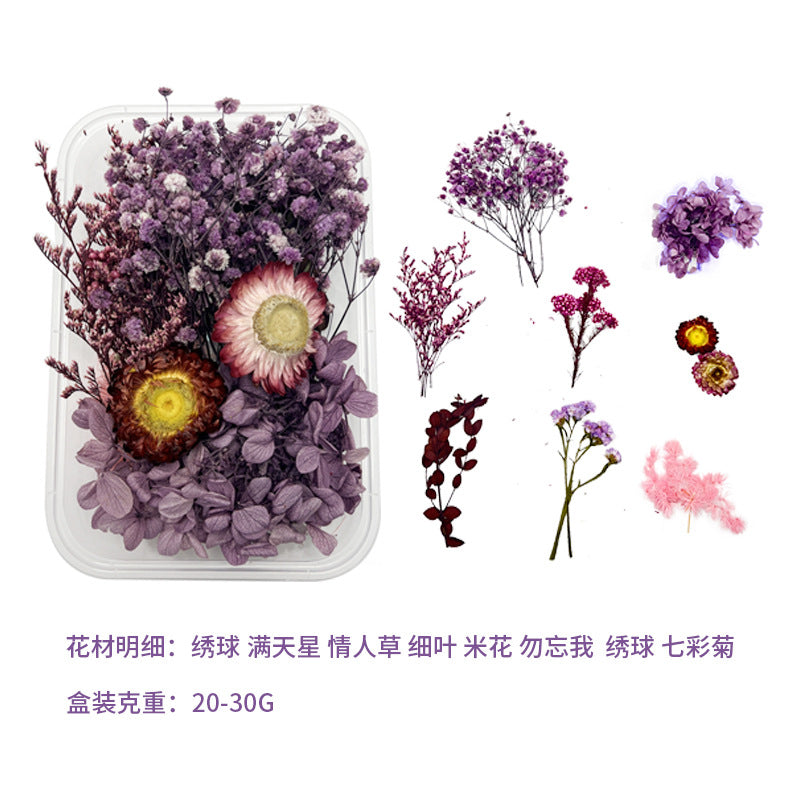 Dried Perpetual Flowers Material Kit Handmade Dried Flowers diy