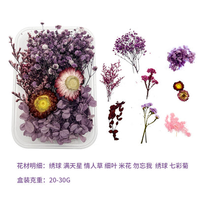 Dried Perpetual Flowers Material Kit Handmade Dried Flowers diy