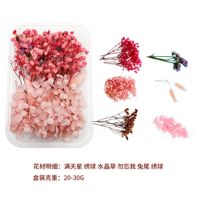 Dried Perpetual Flowers Material Kit Handmade Dried Flowers diy